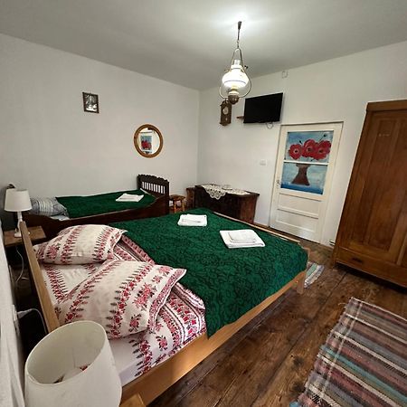 Casa Pe Valea Hartibaciului Konuk evi Barcut Dış mekan fotoğraf