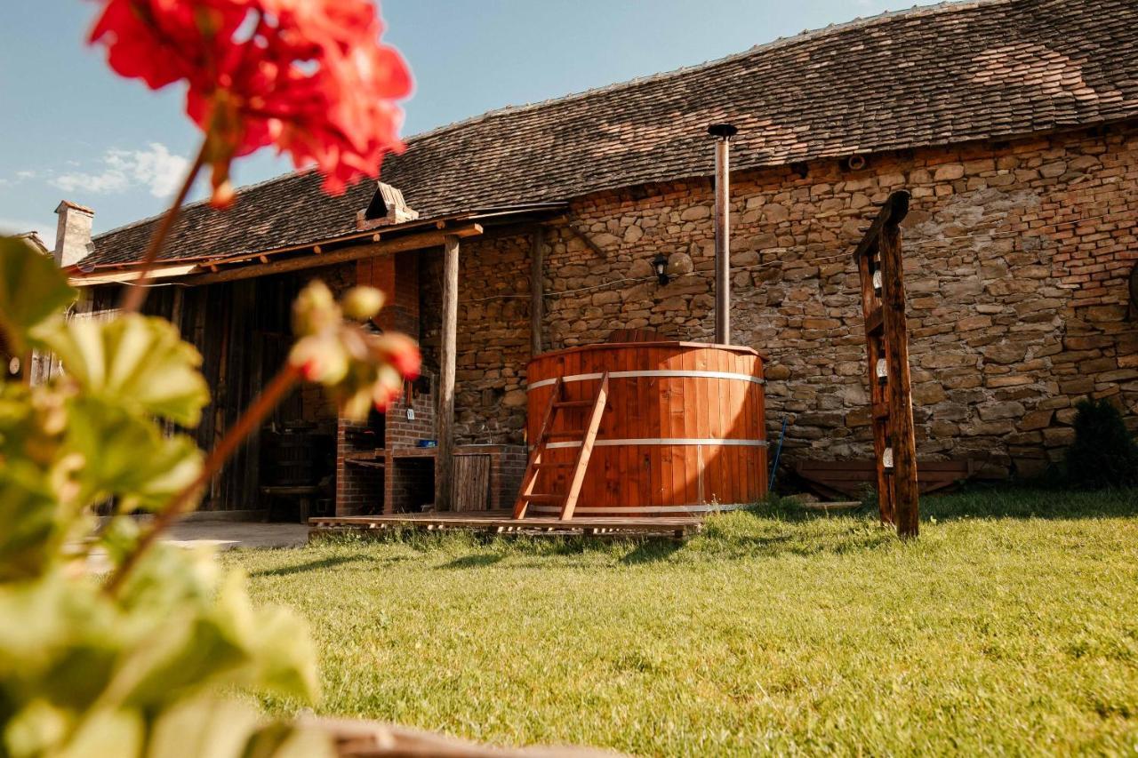 Casa Pe Valea Hartibaciului Konuk evi Barcut Dış mekan fotoğraf