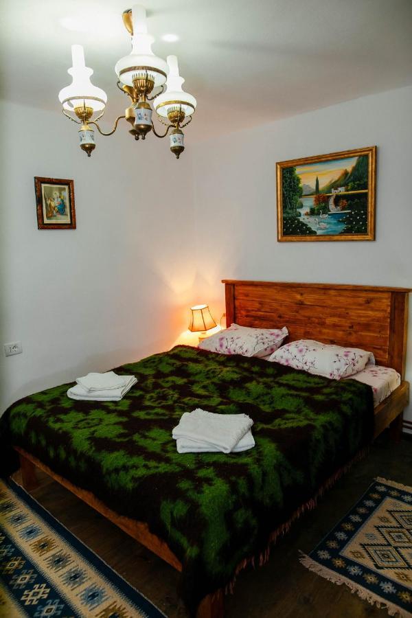 Casa Pe Valea Hartibaciului Konuk evi Barcut Dış mekan fotoğraf
