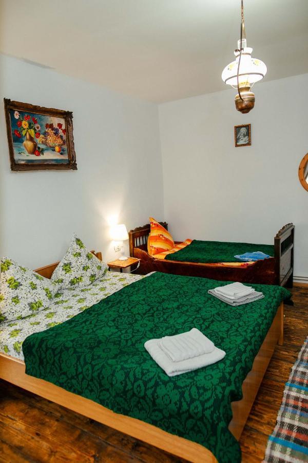 Casa Pe Valea Hartibaciului Konuk evi Barcut Dış mekan fotoğraf