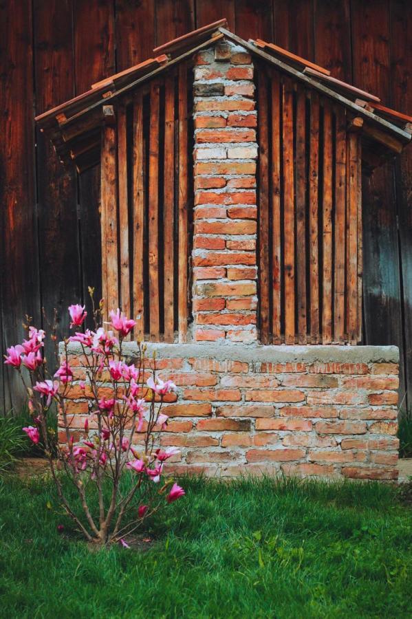 Casa Pe Valea Hartibaciului Konuk evi Barcut Dış mekan fotoğraf