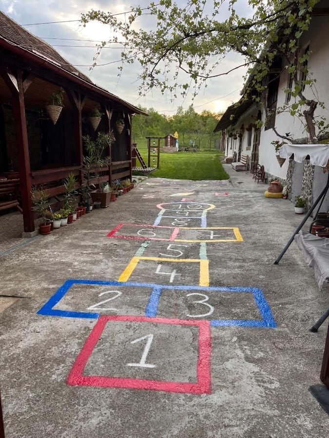 Casa Pe Valea Hartibaciului Konuk evi Barcut Dış mekan fotoğraf