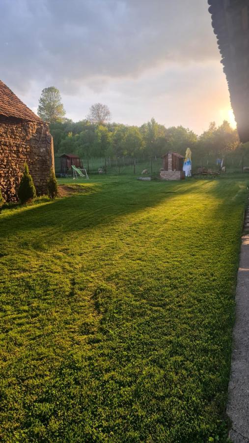 Casa Pe Valea Hartibaciului Konuk evi Barcut Dış mekan fotoğraf