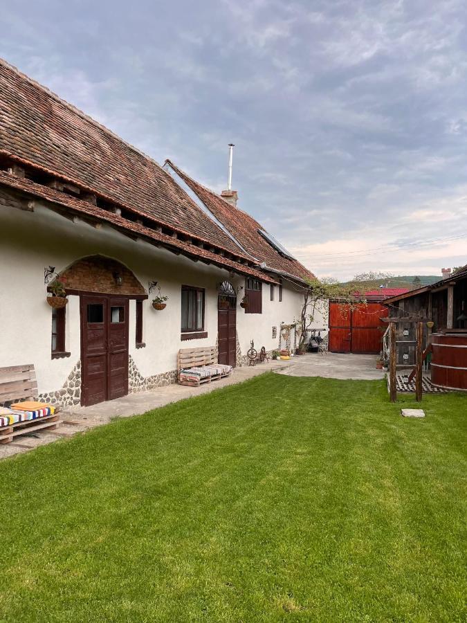 Casa Pe Valea Hartibaciului Konuk evi Barcut Dış mekan fotoğraf