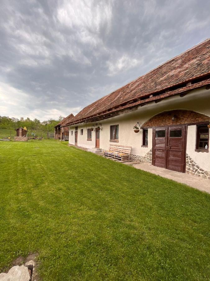 Casa Pe Valea Hartibaciului Konuk evi Barcut Dış mekan fotoğraf