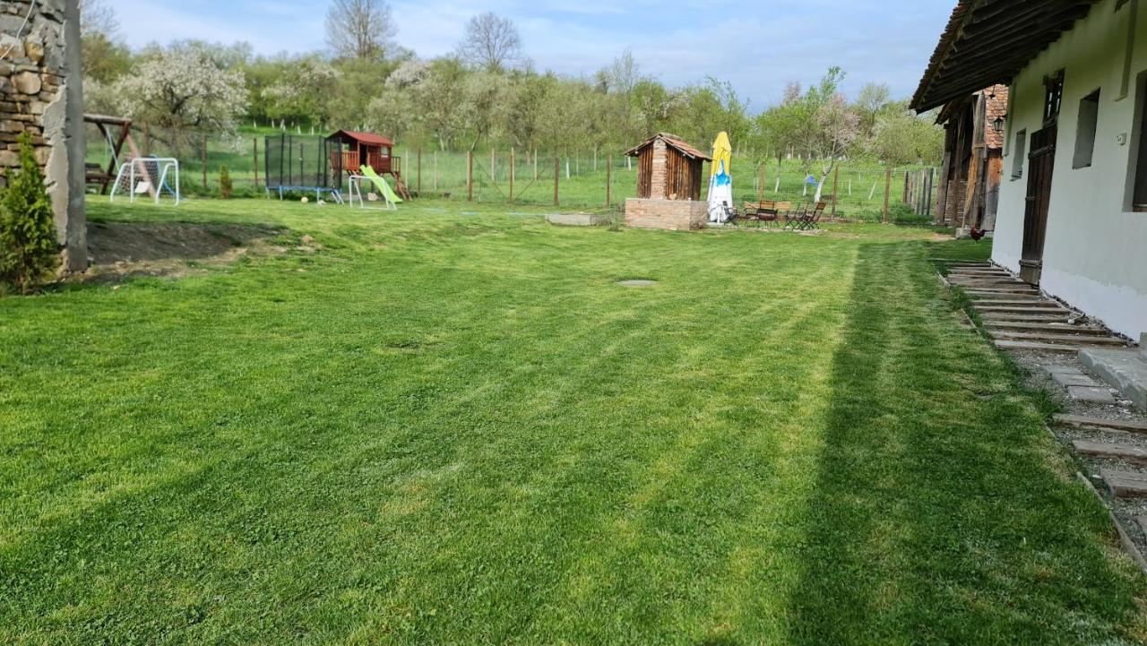 Casa Pe Valea Hartibaciului Konuk evi Barcut Dış mekan fotoğraf