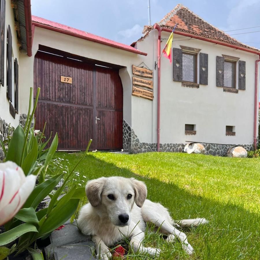 Casa Pe Valea Hartibaciului Konuk evi Barcut Dış mekan fotoğraf