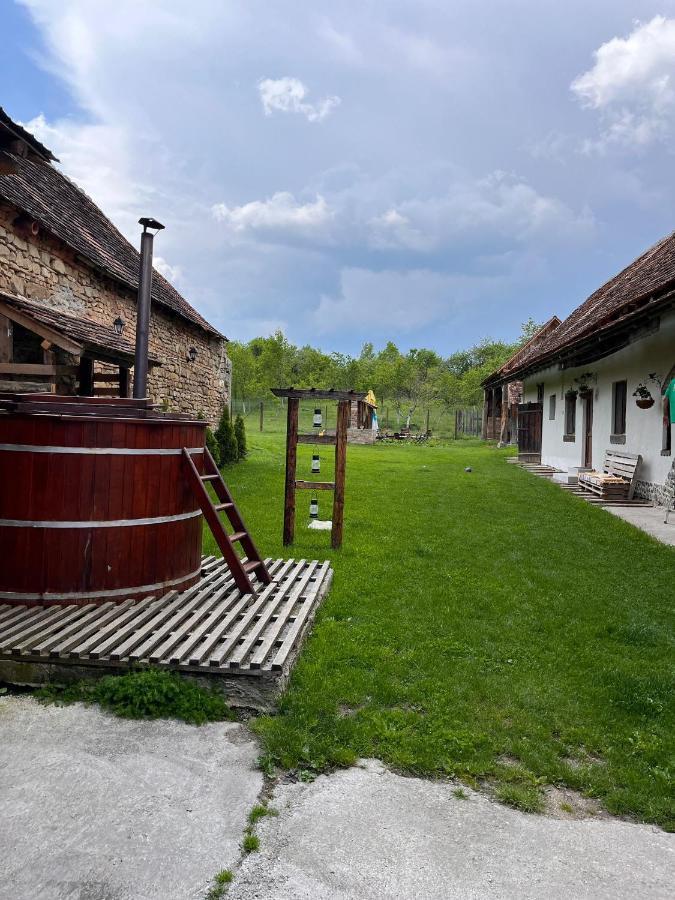 Casa Pe Valea Hartibaciului Konuk evi Barcut Dış mekan fotoğraf