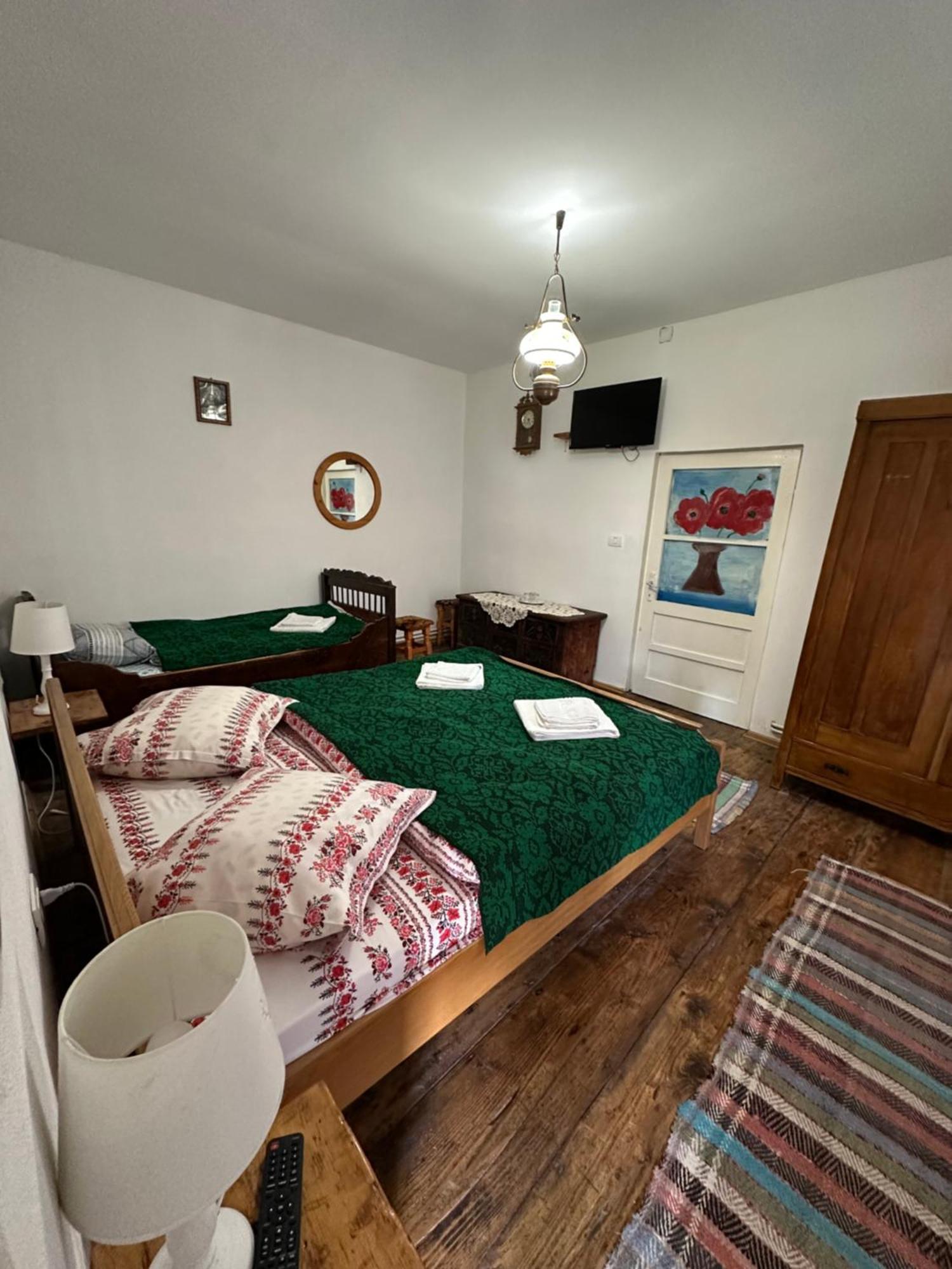 Casa Pe Valea Hartibaciului Konuk evi Barcut Dış mekan fotoğraf